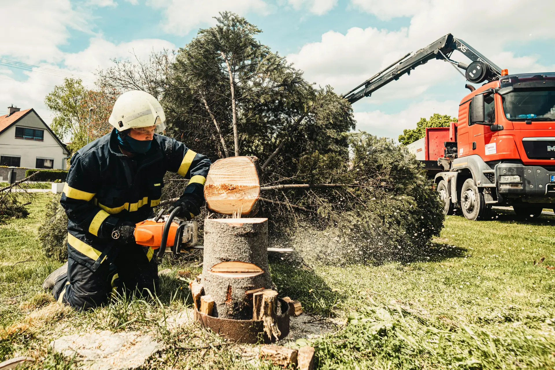 Tree Service Financing | Fast Funding for Tree Companies